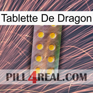 Dragon Tablet new11